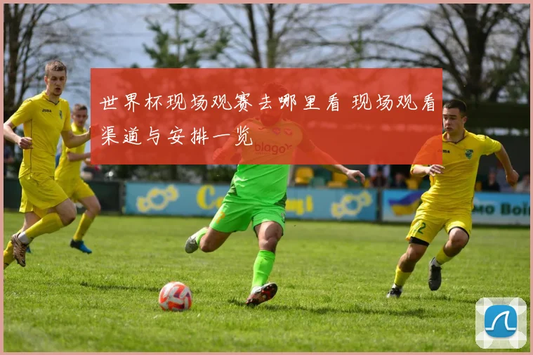 世界杯现场观赛去哪里看 现场观看渠道与安排一览