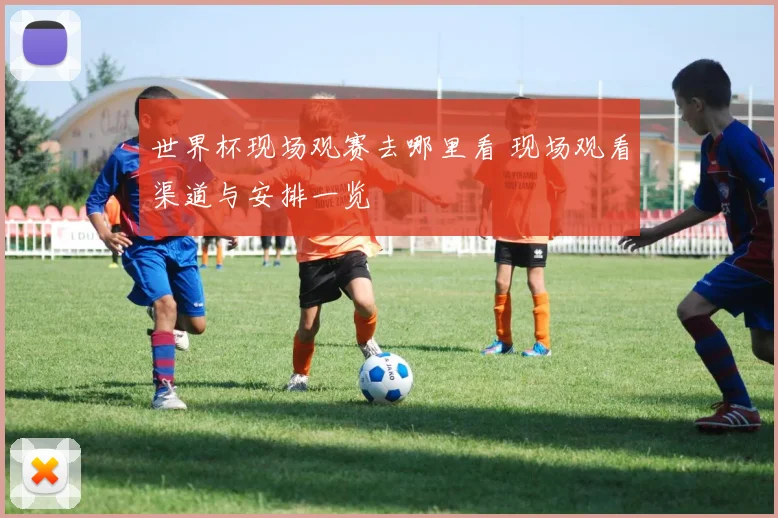 世界杯现场观赛去哪里看 现场观看渠道与安排一览