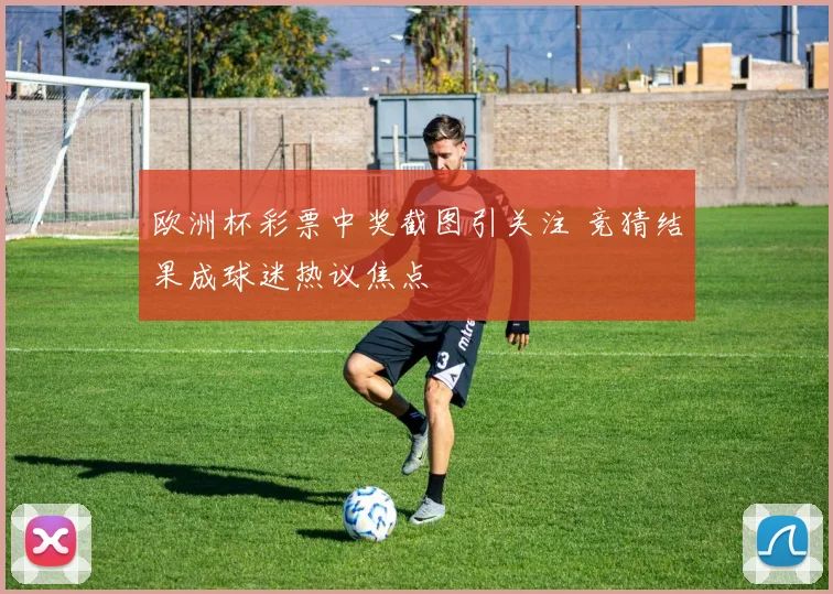 欧洲杯彩票中奖截图引关注 竞猜结果成球迷热议焦点