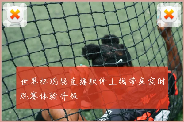 世界杯现场直播软件上线带来实时观赛体验升级