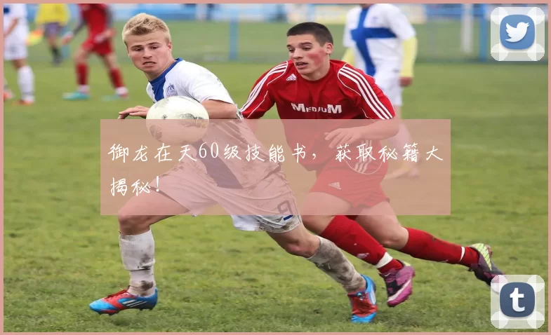 御龙在天60级技能书，获取秘籍大揭秘！